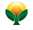 Instituto BrVerde